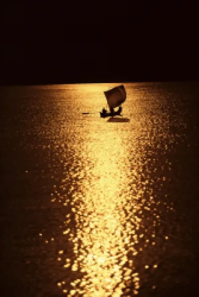 Buy River boat