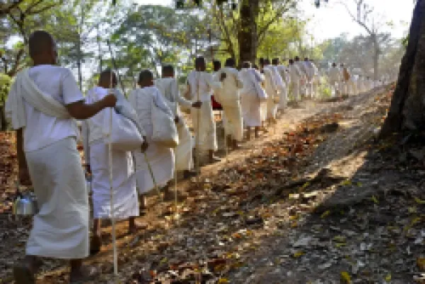Buy A procession of Buddhist nuns make their way through