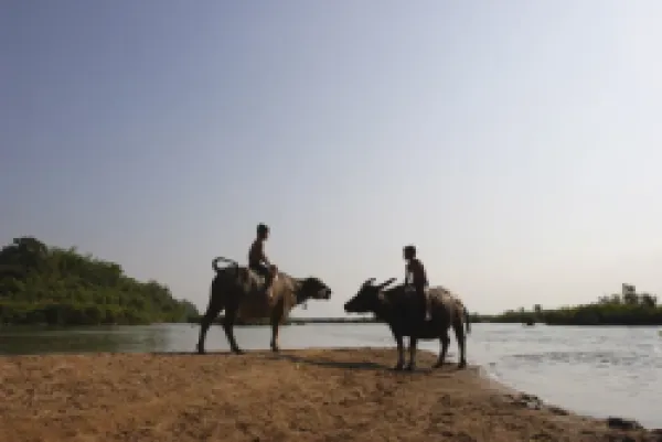 Buy Two boys on water buffalo beside the Mekong river