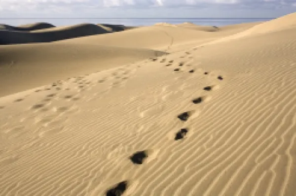 Buy Maspalomas dunes, Gran Canaria, Canary Islands, Spain, Europe