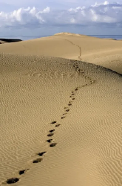 Buy Maspalomas dunes, Gran Canaria, Canary Islands, Spain, Europe