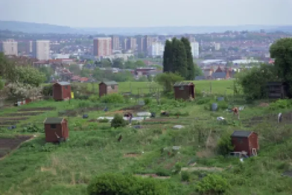 Buy Allotments