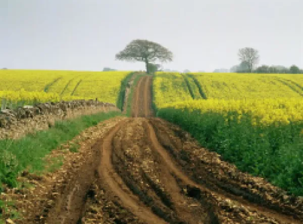Buy The Cotswolds
