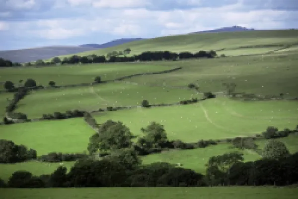 Buy Merrivale, Dartmoor