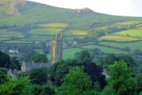 Buy Widecombe in the Moor