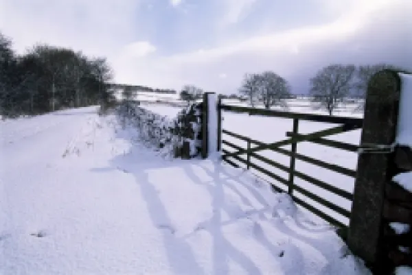 Buy Snow on Tissington Trail