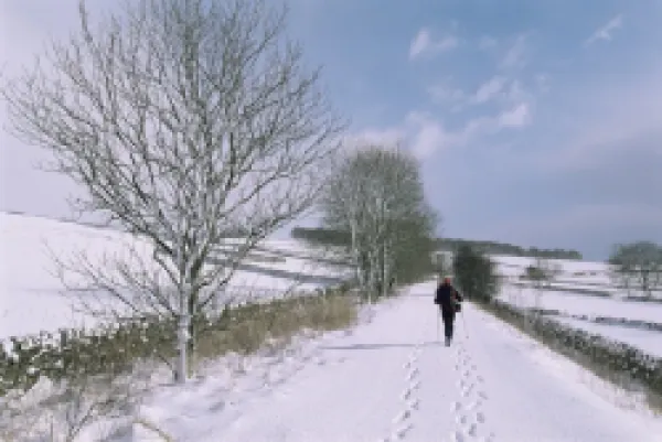 Buy Footprints in snow