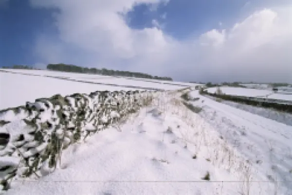 Buy Snow coverd fields and walls
