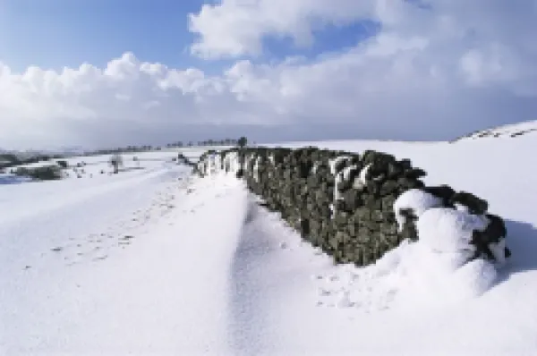 Buy Snow coverd fields and walls