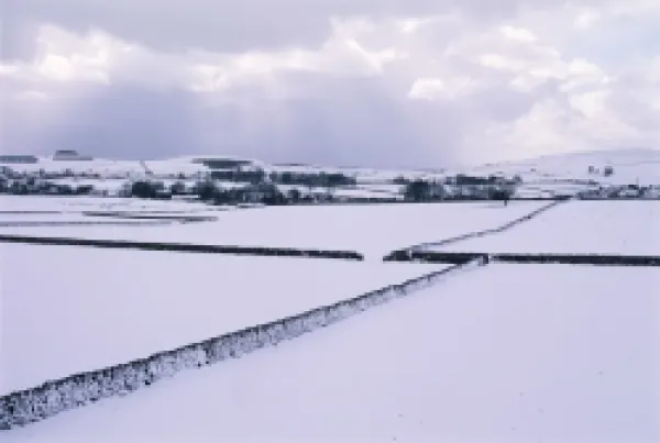 Buy Snow covered fields and walls