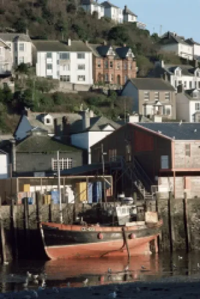 Buy Fishing boat and houses