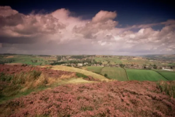 Buy Countryside near Haworth
