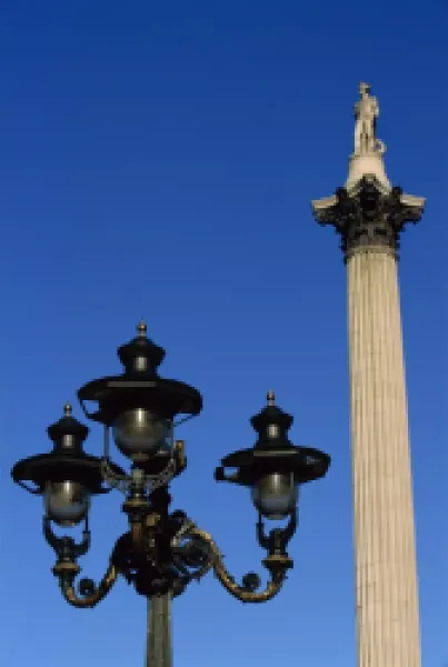 Buy Nelson's Column