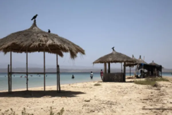 Buy Green Island (Sheikh Said)