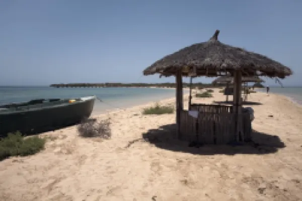 Buy Green Island (Sheikh Said)
