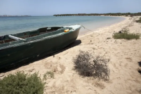 Buy Green Island (Sheikh Said)