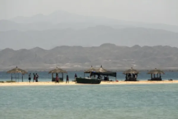 Buy Green Island (Sheikh Said)