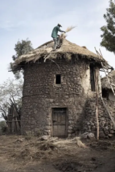 Buy A man thatches the roof of his house in the town of Lalibela