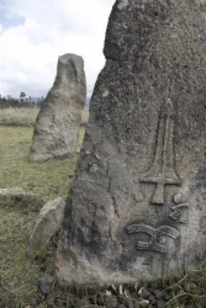 Buy The mysterious site of Tiya