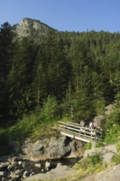 Buy Hikers on bridge in hiking area of Pic de Coma Pedrosa