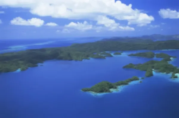 Buy Aerial view of Bay of Islands