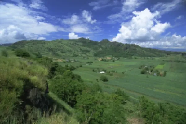 Buy Sugar cane and hills at Lomolomo