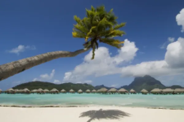 Buy Pearl Beach Resort