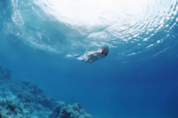 Buy Fakarawa, Tuamotu Archipelago
