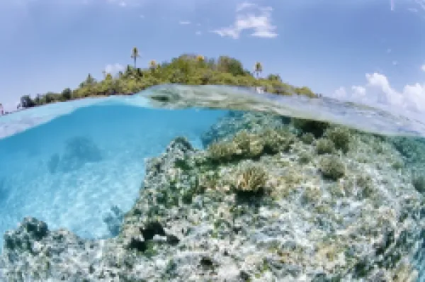 Buy Tikeau, Tuamotu Archipelago