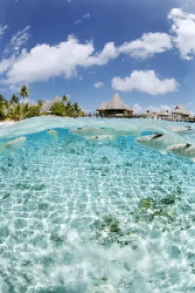 Buy Le Maitai Hotel, Fakarawa, Tuamotu archipelago, French Polynesia