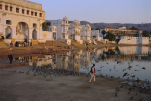 Buy Pushkar, Rajasthan