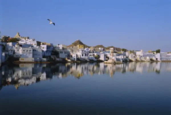 Buy Pushkar, Rajasthan