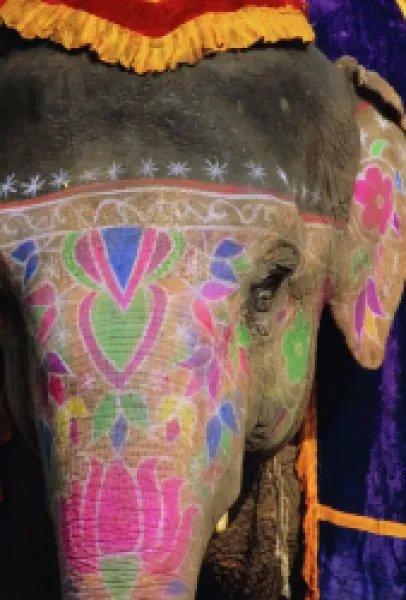 Buy Decorated elephant