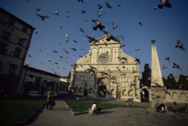 Buy Pigeons in flight in the Piazza Santa Maria Novella
