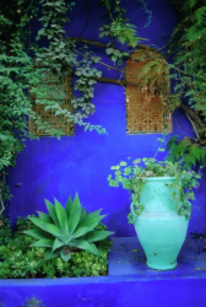 Buy Majorelle Gardens