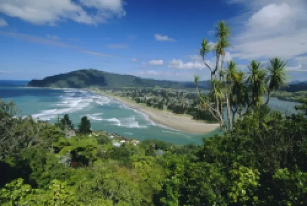 Buy View south from Paku Mountain across Tairua Harbour