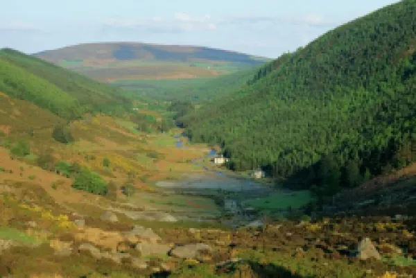 Buy View down a valley near Glendalough