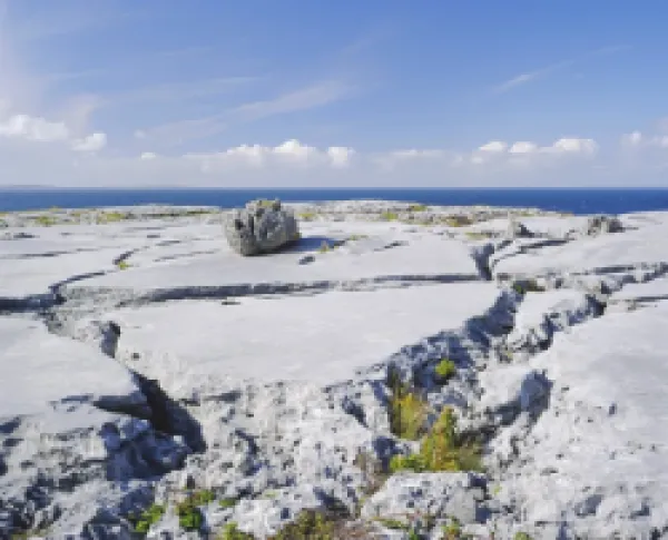 Buy The Burren