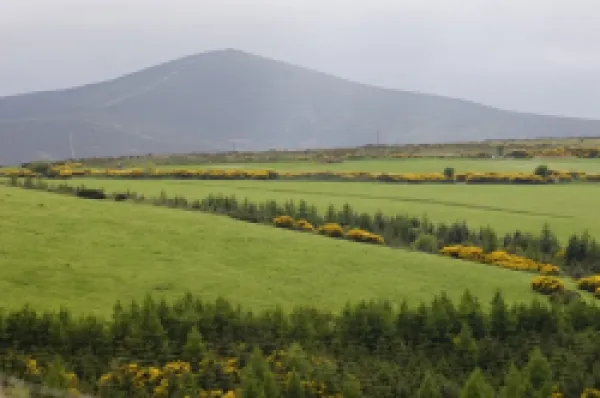Buy County Wicklow