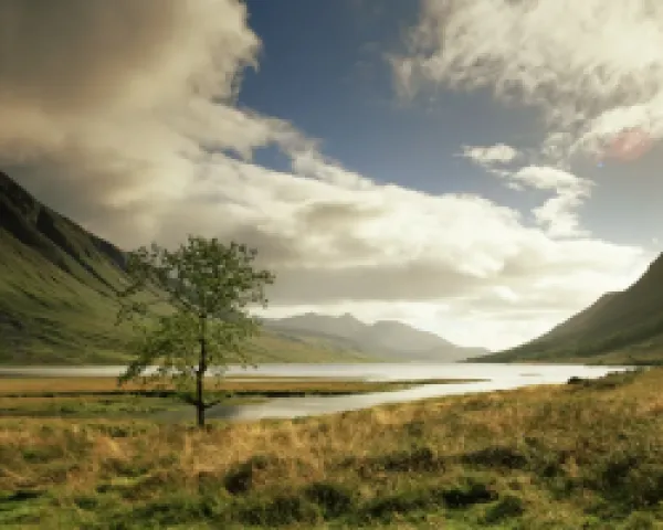 Buy Loch Etive and lone tree