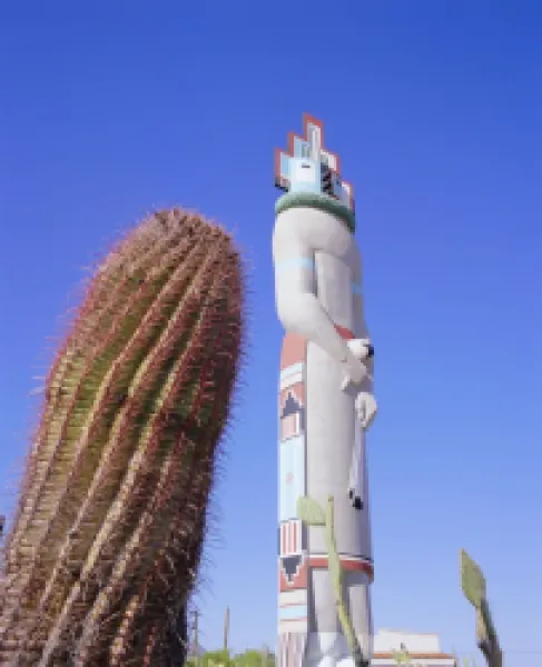 Buy Giant cactus and Indian statue