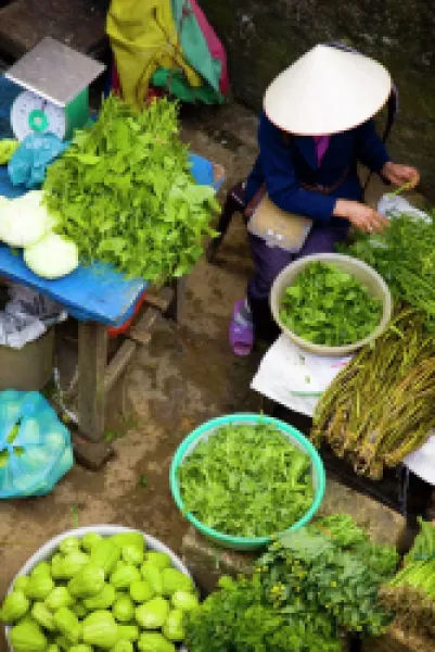 Vietnam, Northern Vietnam, Sapa. Vietnamese woman wearing a classic vietamese hat, selling colourful local produce at a food market in Sapa.