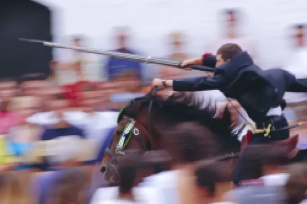 Buy Horse rider jousting with target during the Sant Joan's festival