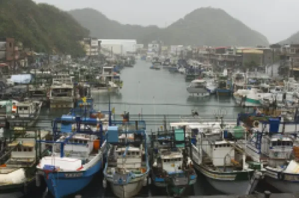 Buy Boats in harbour port