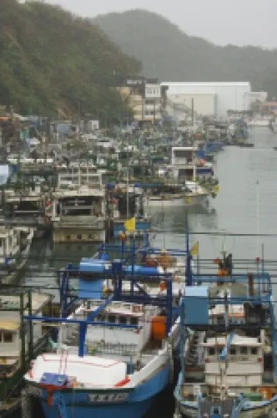 Buy Boats in harbour port