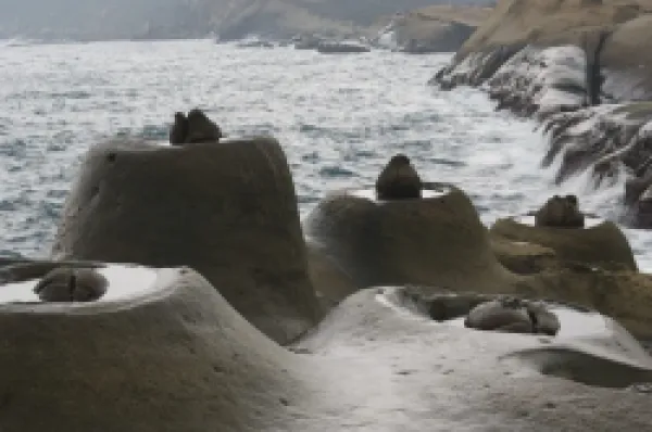 Buy Coastal rock formations