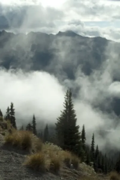 Buy Sunrise, Mount Rainier National Park