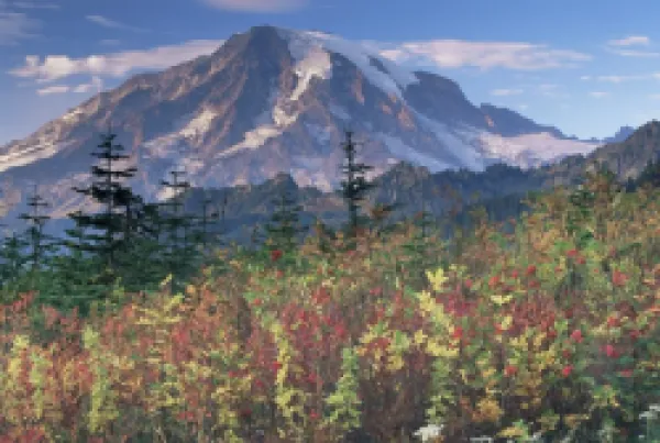 Buy Landscape, Mount Rainier National Park