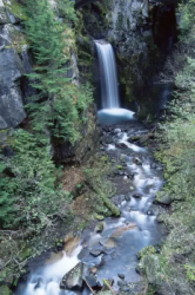 Buy Christine Falls
