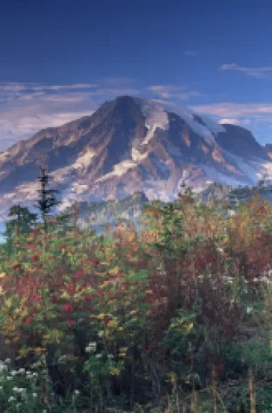 Buy Landscape, Mount Rainier National Park
